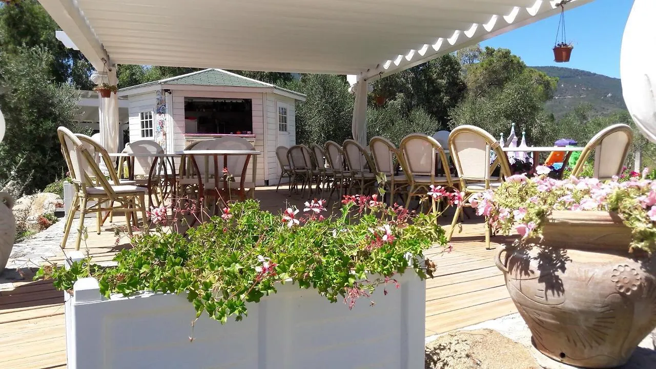 Residence Dolores Marina di Campo Appartement